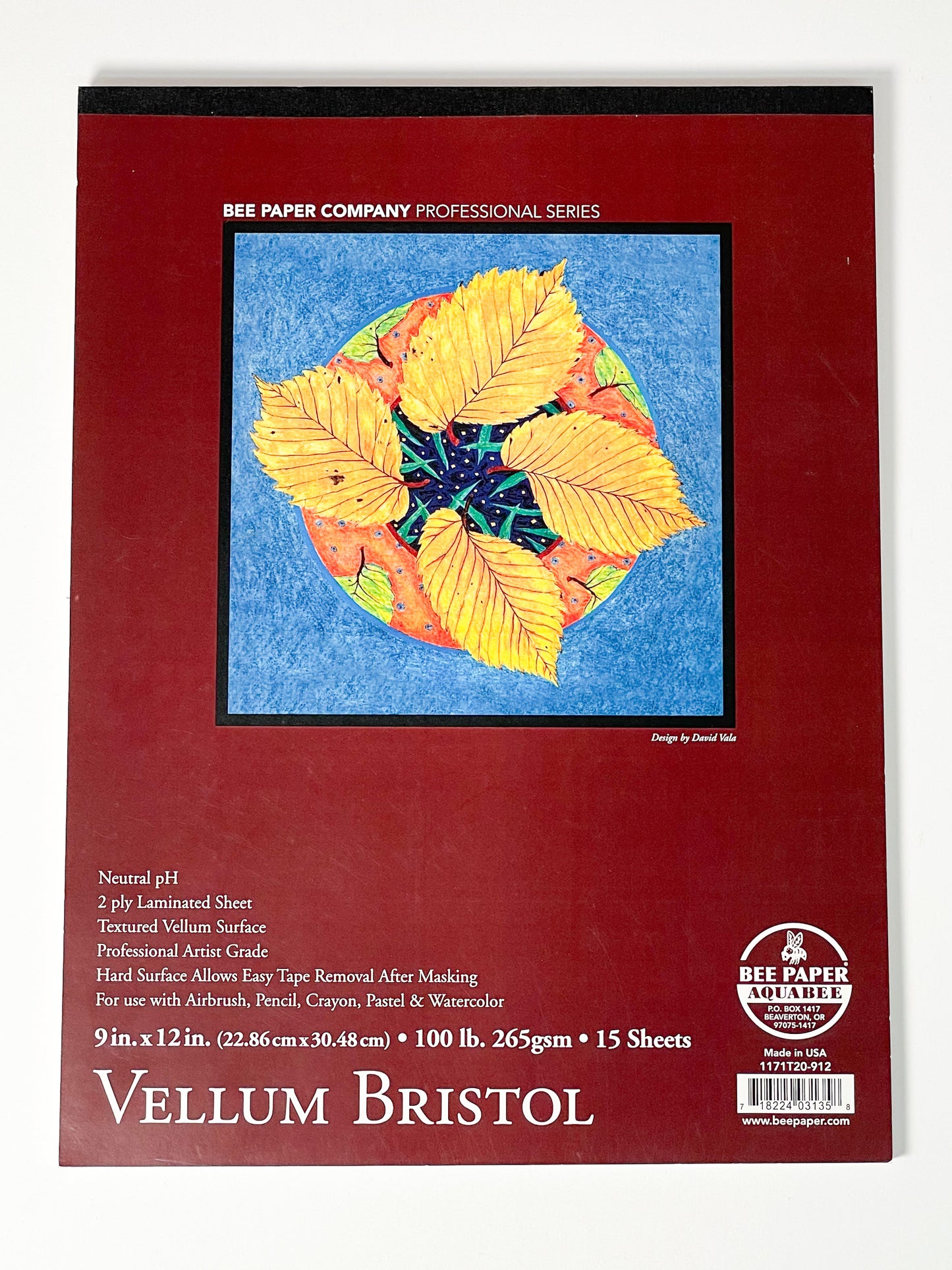 9x12" Bee Paper Company® Vellum Surface Bristol Pad - Mona Lisa Artists' Materials Calgary Alberta