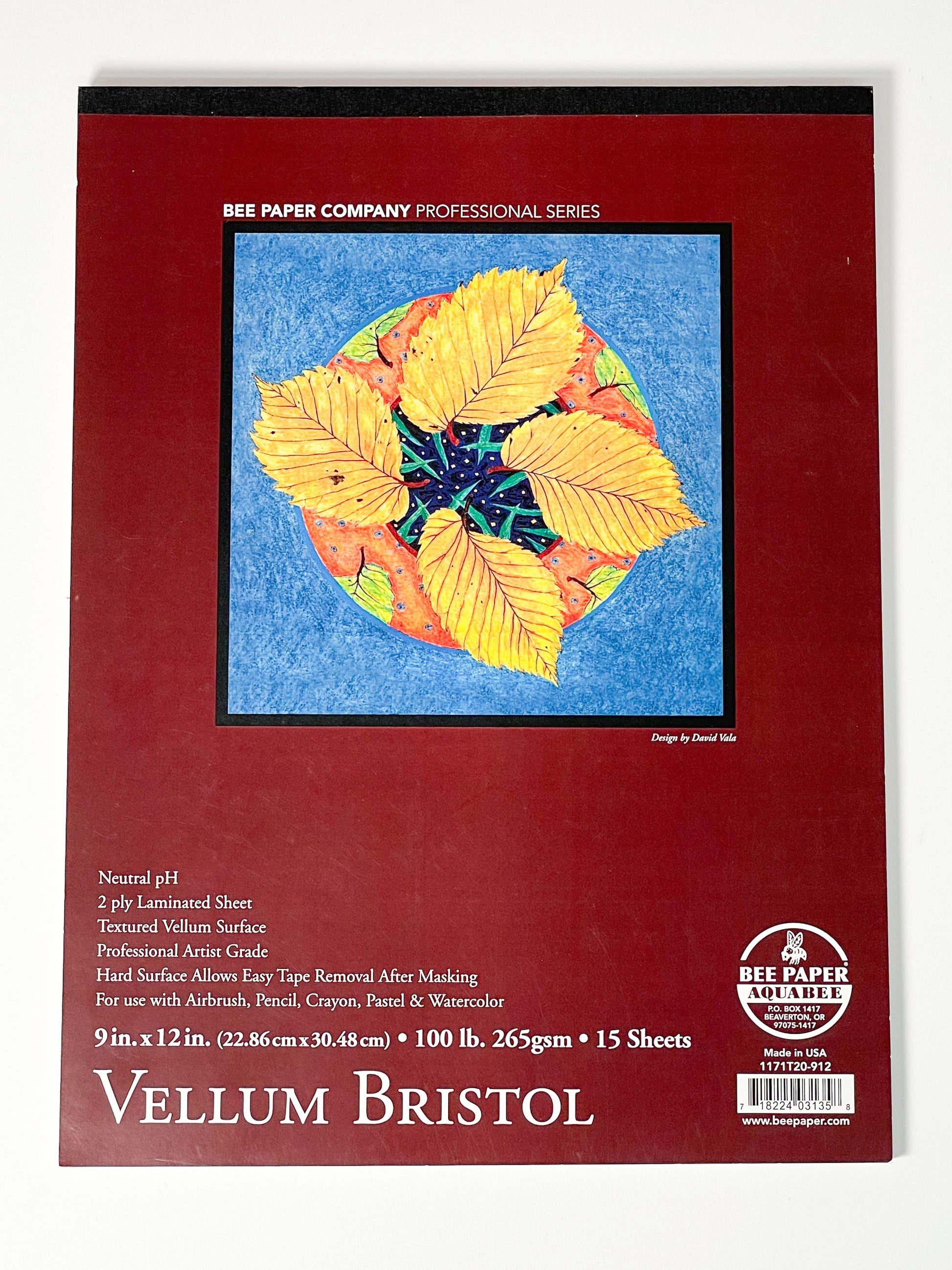 9x12" Bee Paper Company® Vellum Surface Bristol Pad - Mona Lisa Artists' Materials Calgary Alberta