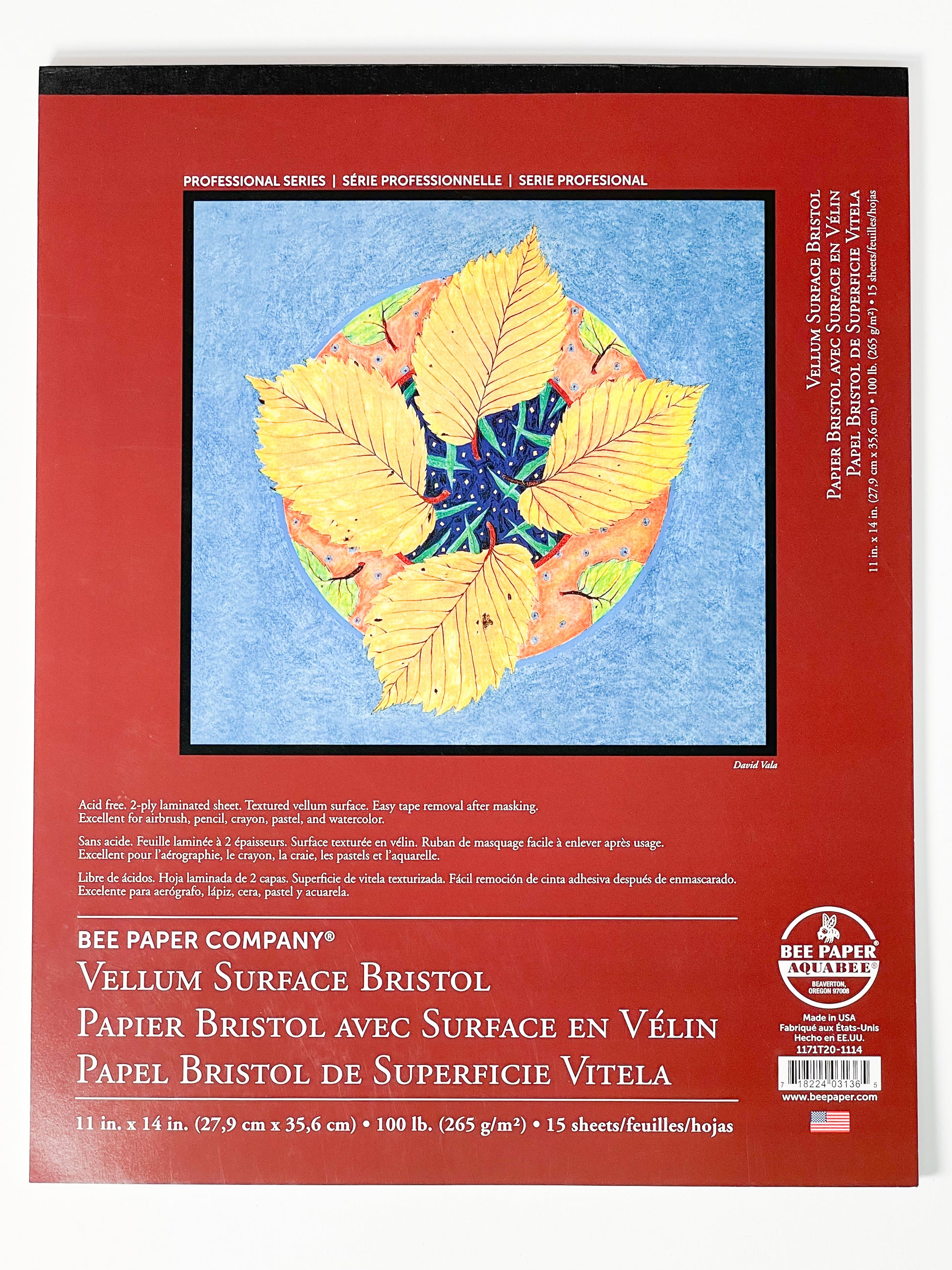 Vellum Surface Bristol (11"x14") - Bee Paper Company®