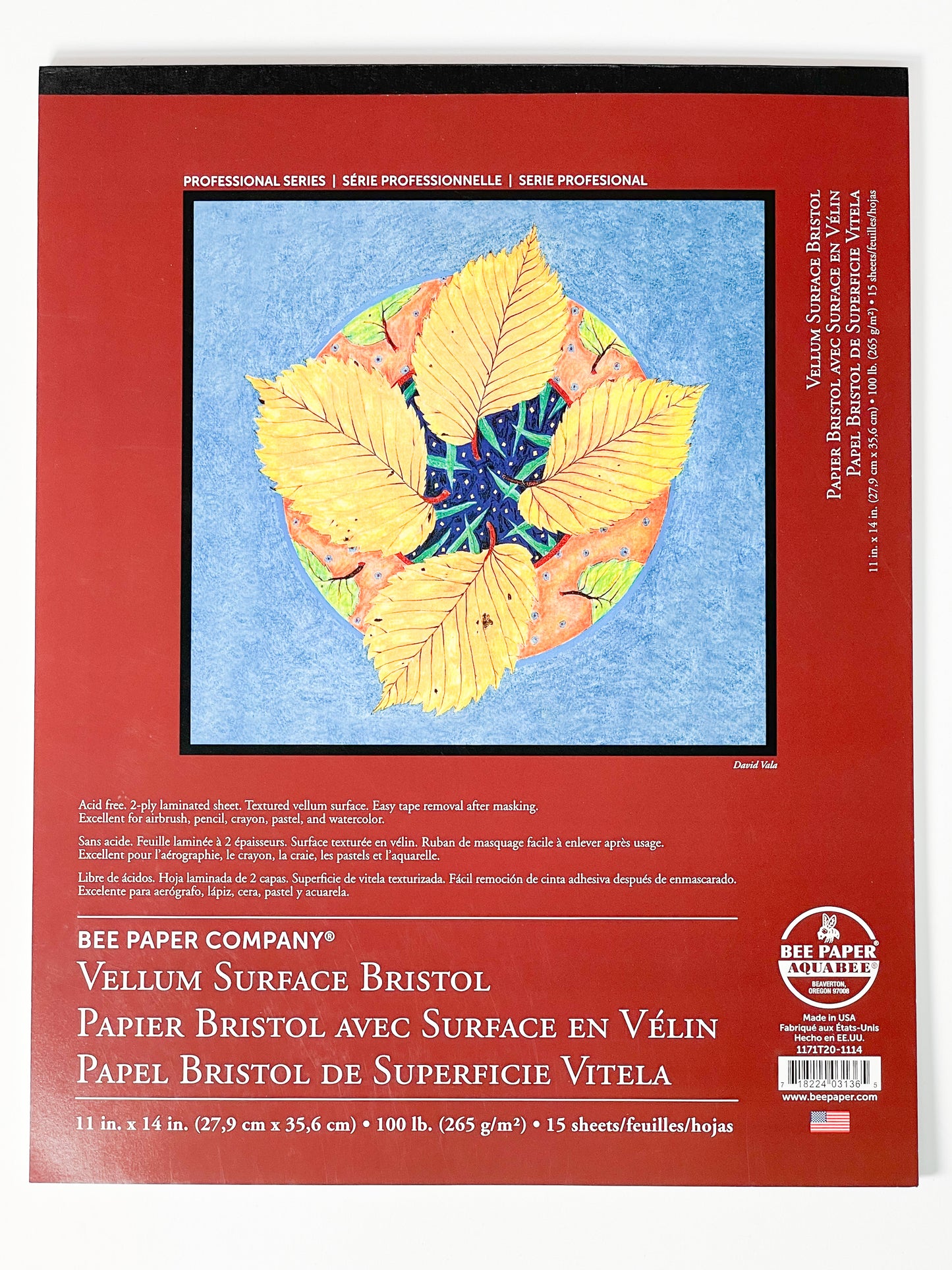 11x14" Bee Paper Company® Vellum Surface Bristol Pad - Mona Lisa Artists' Materials Calgary Alberta